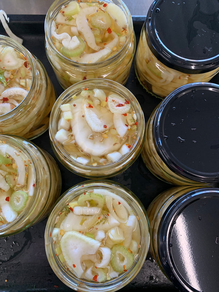 Birdseye view of 8 open jars of pickled fennel 